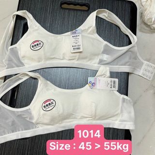 AL1014 - ÁO LÁ HỌC SINH (L15)