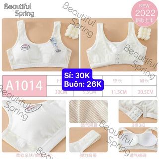 AL1014 - ÁO LÁ HỌC SINH (L15)