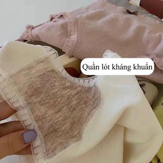 Hộp 6 Quần Lót Cotton Dệt Kim Đính Nơ Tiên Nữ Kháng Khuẩn Xuất Nhật, Hàng Cao Cấp Free Size Dưới 60kg
