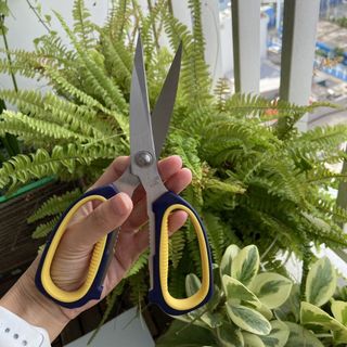 Kéo Nhật Đa Năng H4, Kéo Làm Bếp Nội Địa Nhật Chuyên Dụng Cắt Gà, Cắt Thịt Các Loại Lưỡi Thép Không Gỉ