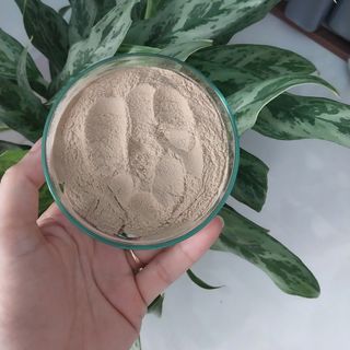 STAR YEAST – Chiết xuất nấm men