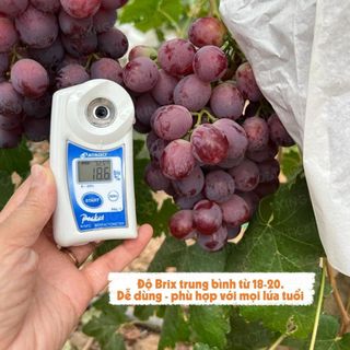 Nho đỏ Crimson Úc 450g (1 Hộp)