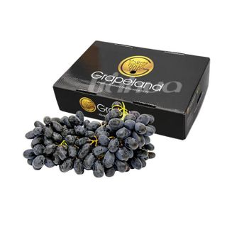Nho đen Sweet Favor Úc Grapeland 8.5kg (1 thùng) giá sỉ