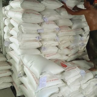 Đậu xanh hạt mốc làm giá đỗ