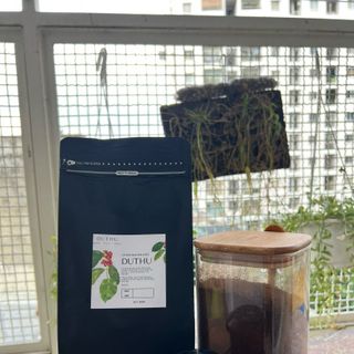 Cà phê trộn Robusta-Arabica-Moka GIA LAI - Cafe rang mộc nguyên chất pha phin, Cafe trộn nguyên chất - TÚI 500GR