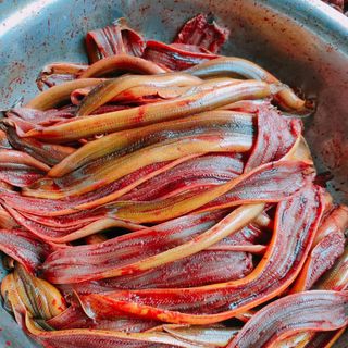 Lươn tươi Nghệ An chuẩn tươi ngon, đủ cân, giá đẹp cho sỉ