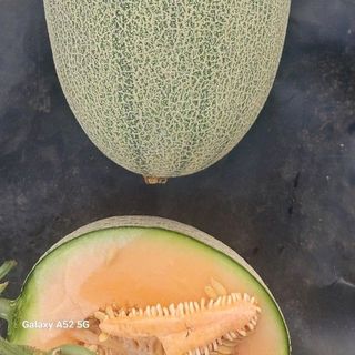 Dưa lưới hami