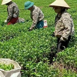 Áo điều hoà pin cực khủng