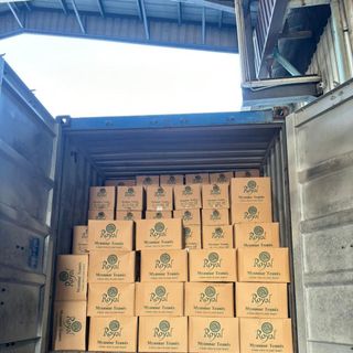Trà sữa Myanmar - Royal Myanmar Teamix