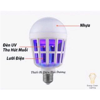 Đèn bắt muỗi kết hợp Led tiện dụng 220v 2 chế độ