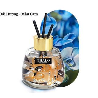 Tinh Dầu Nước Hoa Tự Nhiên Chứa 120ml Thalo Khử Mùi Xe ô Tô Văn Phòng Nhà Cửa Kèm Que Thấm Tinh Dầu