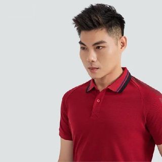 Áo thun Polo Raglan Shoulder Print Slimfit thoải mái, thoáng mát A02-110
