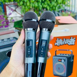 Loa Xách Tay Karaoke N125 Bass20 Đèn LED Nhiều Màu Kèm 2 Micro Karaoke Kết Nối Bluetooth 5.0, USB, AUX, Thẻ Nhớ, Cổng Micro, OTG Sạc DC15V