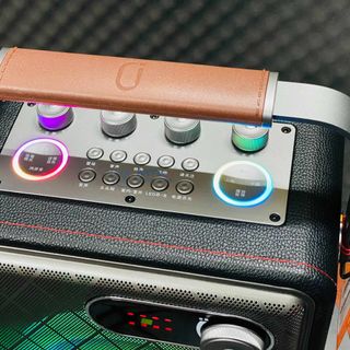 Loa Xách Tay Karaoke N125 Bass20 Đèn LED Nhiều Màu Kèm 2 Micro Karaoke Kết Nối Bluetooth 5.0, USB, AUX, Thẻ Nhớ, Cổng Micro, OTG Sạc DC15V