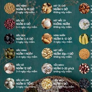 Bánh dầu