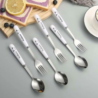 Hộp 6 muỗng nĩa inox 304 cán sứ