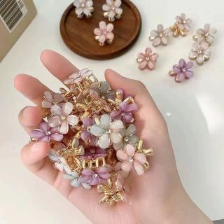 Kẹp tóc sau 5cánh hoa đủ màu bịch 50cái e