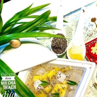 ĐÁC RIM THƠM THẠCH DỪA HẠT CHIA THƠM NGON - WINNIE HOUSE