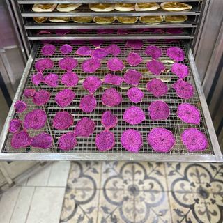 Hoa quả sấy khô