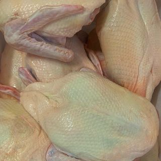 [ 1kg/ 1.4kg -> 1.6kg ] Ức vịt gồm cánh | Thịt tươi nóng | Miễn phí vận chuyển TpHCM