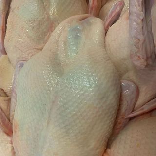 [ 1kg/ 1.4kg -> 1.6kg ] Ức vịt gồm cánh | Thịt tươi nóng | Miễn phí vận chuyển TpHCM
