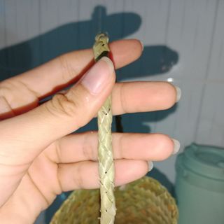 Túi cỏ bàng đựng ly, bình giữ nhiệt, kích thước 8x19cm