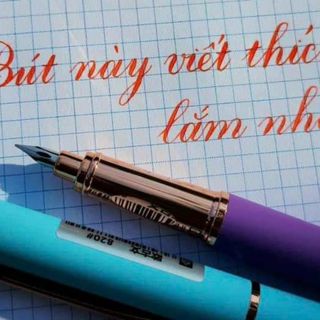 Bút máy luyện chữ đẹp 820 ngòi kim tinh lá tre