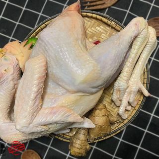 [ 1.8kg - 2kg/ con ] Gà ta thả vườn (1 bộ lòng) | Thịt nóng | Hàng làm sẵn sạch sẽ, tiện lợi | Thịt sạch, chất lượng.