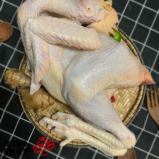 [ 1.8kg - 2kg/ con ] Gà ta thả vườn (1 bộ lòng) | Thịt nóng | Hàng làm sẵn sạch sẽ, tiện lợi | Thịt sạch, chất lượng.