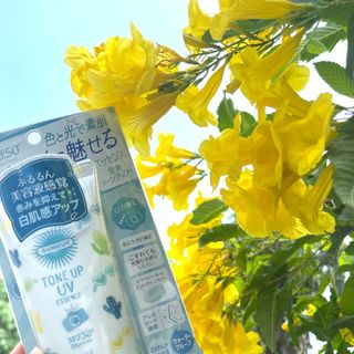 Tinh Chất Chống Nắng Nâng Tone Làm Dịu Sắc Tố Đỏ Trên Da Suncut Tone Up SPF50+ PA++++ 80g