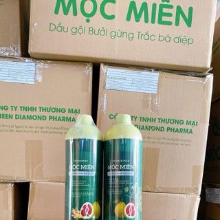 Dầu Gội Bưởi Gừng Trắc Bá Diệp mộc miên