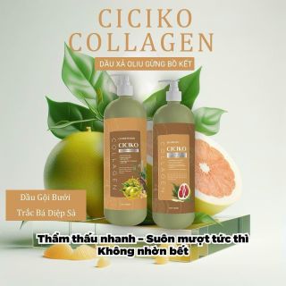 Dầu Gội Bưởi Gừng Trắc Bá Diệp mộc miên