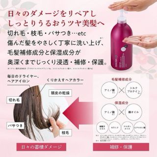 Dầu gội hoa trà salon link