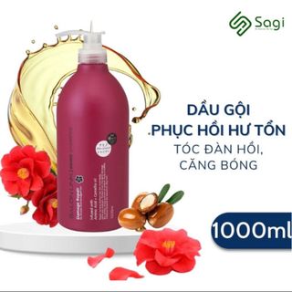 Dầu gội hoa trà salon link