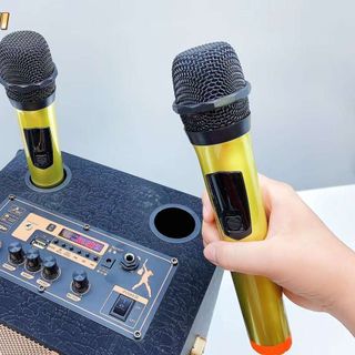 Loa karaoke Kimiso KMS-8811