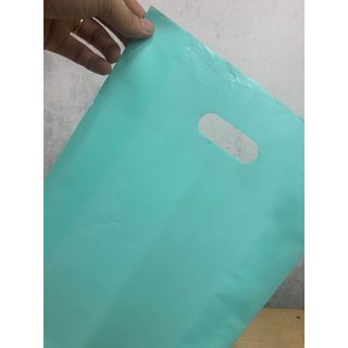 [1kg túi hột xoài PE – Màu Xanh Mint – đủ size] Chất liệu nhựa PE bóng mịn – dẽo dai – Giá xưởng – 5 Giây