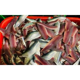 CÁ TRÍCH FILE 1kg (giao tphcm) giá sỉ