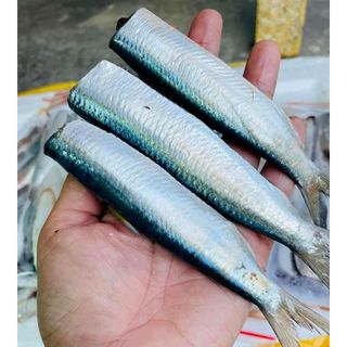 CÁ TRÍCH FILE 1kg (giao tphcm)