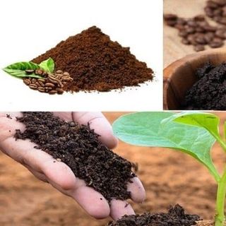 Bã Cà Phê Số Lượng Lớn, Giá Sỉ