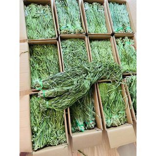 Rau Tiến Vua bịch 500gr hút chân không