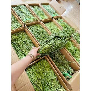 Rau Tiến Vua bịch 500gr hút chân không