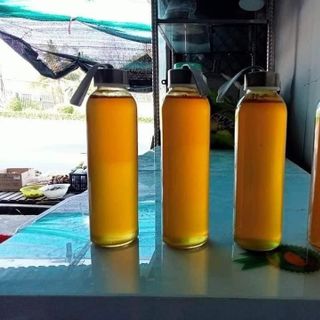 Mật ong núi đá, mật ong khoái vùng núi