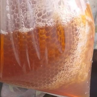 Mật ong núi đá, mật ong khoái vùng núi
