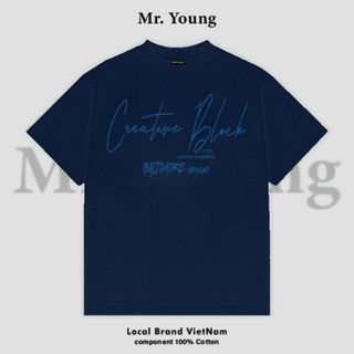 ÁO THUN MR YOUNG VẢI COTTON 2 CHIỀU ( B3 )
