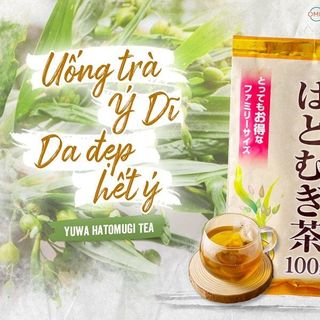 TRÀ HẠT Ý DĨ YUWA