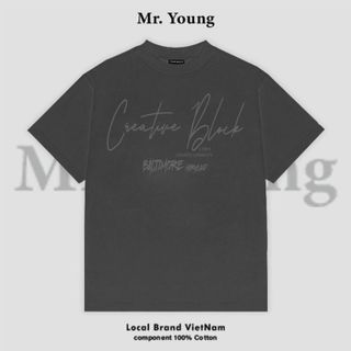 ÁO THUN MR YOUNG VẢI COTTON 2 CHIỀU ( B3C )