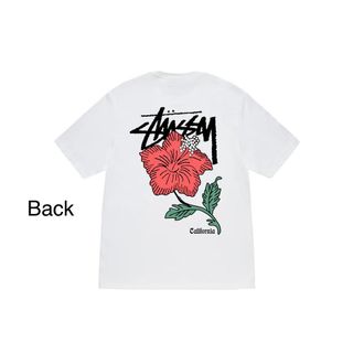 Áo thun unisex STUSSY A3