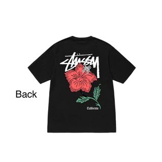 Áo thun unisex STUSSY A3