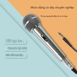 Micro hát karaoke có dây DM-8000 Jack 6.5mm mạ Crôm sáng bóng