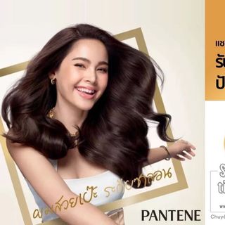 Dầu gội PanTene thái